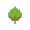 Hop vector icon on neutral background.