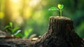 Hope blooms as a small seedling sprouts from an old tree trunk, nature\'s resilience, Ai Generated