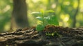 Hope blooms as a small seedling sprouts from an old tree trunk, nature\'s resilience, Ai Generated