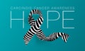 Hope. Carcinoid Cancer Awareness Calligraphy Poster Design. Realistic Zebra Stripe Ribbon. November is Cancer Awareness