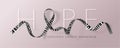 Hope. Carcinoid Cancer Awareness Calligraphy Poster Design. Realistic Zebra Stripe Ribbon. November is Cancer Awareness Month.