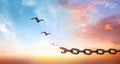 hope concept, Bird flying and broken chains over blurred nature sunrise background Royalty Free Stock Photo