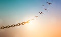 Silhouettes of broken chain and birds flying in sky Royalty Free Stock Photo