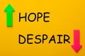 Hope Despair Concept