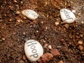 Hope Love and Faith message on stones placed on ground Royalty Free Stock Photo