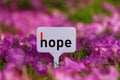 Hope Signboard. Royalty Free Stock Photo