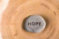 Hope in stone on tree