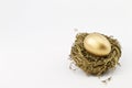 Hopeful Gold Financial Nest Egg