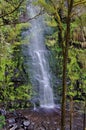 Hopetoun falls