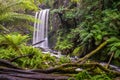 Hopetoun falls in a lush green rainforest.