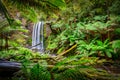 The Hopetoun Falls is a waterfall across the Aire River that is located in The Otways region of Victoria Royalty Free Stock Photo