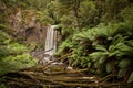 Hopetoun Falls Royalty Free Stock Photo