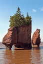 Hopewell Rocks Royalty Free Stock Photo