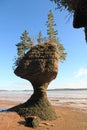 Hopewell Rocks on the Bay of Fundy, New Brunswick, Canada Royalty Free Stock Photo