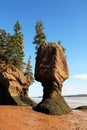 Hopewell Rocks on the Bay of Fundy, New Brunswick, Canada Royalty Free Stock Photo