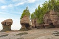 Rocky Sentinels: The Hopewell Rocks