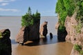 Hopewell Rocks at high tide Royalty Free Stock Photo