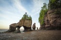 Hopewell Rocks Royalty Free Stock Photo