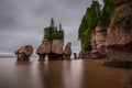 Hopewell Rocks Royalty Free Stock Photo