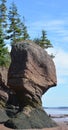 Hopewell Rocks Park in Canada, located on the shores of the Bay of Fundy Royalty Free Stock Photo