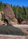 Flower Pots at Hopewell Rocks Park Royalty Free Stock Photo