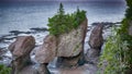 Hopewell Stones on Prince Edward Island Royalty Free Stock Photo