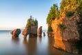 Hopewell Rock, New Brunswick, Canada Royalty Free Stock Photo