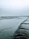 Hoping the rain would save me - Taapi river, Surat, Gujarat