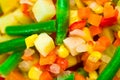 ÃÂ¡hopped vegetables mixture Royalty Free Stock Photo