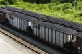 Hopper Rail Cars Full of West Viginia Coal