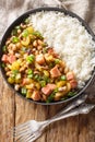 Hoppin john black eyed peas, sometimes called Carolina Peas and Rice, cooked with bacon, sausage, and veggies, and served over Royalty Free Stock Photo