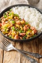 Hoppin John is one of those classic Southern dishes made of black-eyed peas and rice closeup on the plate. Vertical Royalty Free Stock Photo