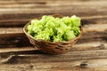 Hops in basket on brown wooden background. Royalty Free Stock Photo