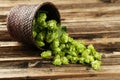 Hops in basket on brown wooden background. Royalty Free Stock Photo