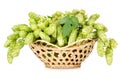 Hops in a basket isolated Royalty Free Stock Photo