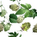 Hops. Green leaf. Botanical garden floral foliage. Watercolor background illustration set. Watercolour isolated. Royalty Free Stock Photo