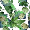 Hops. Green leaf. Botanical garden floral foliage. Watercolor background illustration set. Watercolour isolated. Royalty Free Stock Photo
