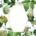 Hops. Green leaf. Frame border ornament square. Garden floral foliage. Watercolor background illustration set. Royalty Free Stock Photo