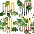 Hops. Green leaf. Leaf plant botanical garden floral foliage. Watercolor background illustration set. Royalty Free Stock Photo