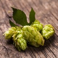 Hops heap Royalty Free Stock Photo