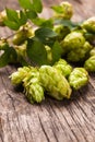 Hops heap Royalty Free Stock Photo