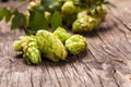 Hops heap Royalty Free Stock Photo