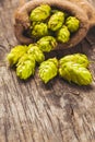 The hops heap Royalty Free Stock Photo