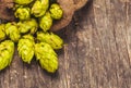 The hops heap Royalty Free Stock Photo