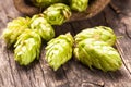 The hops heap Royalty Free Stock Photo