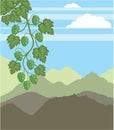 Hops Hills Vector Royalty Free Stock Photo
