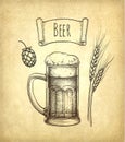 Hops, malt and beer mug