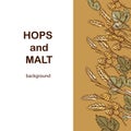 Hops and malt square background or poster template for beer brewing advertisement.