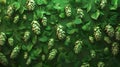 Hops\' pattern is overpopulated, creating a hyperreal effect. Royalty Free Stock Photo