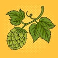 Hops plant pinup pop art raster illustration